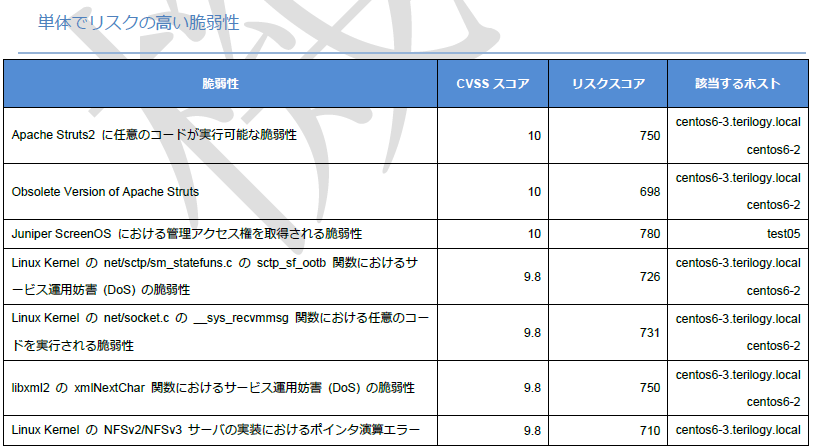 レポートの例 プラットフォームの脆弱性スキャン